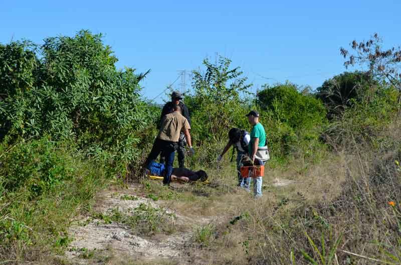 26y271 Fueron 220 muertos registrados en la región durante el 2015