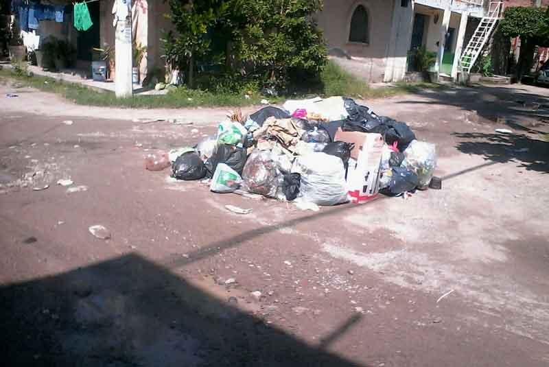lulua Proactiva no puede dejar de recolectar la basura