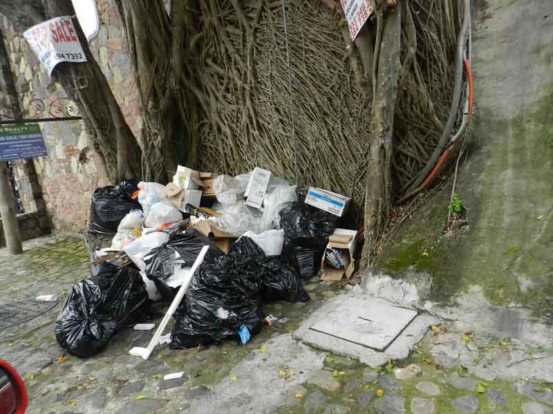 webb Ante la falta de recolección, buscan vecinos soluciones en Amapas