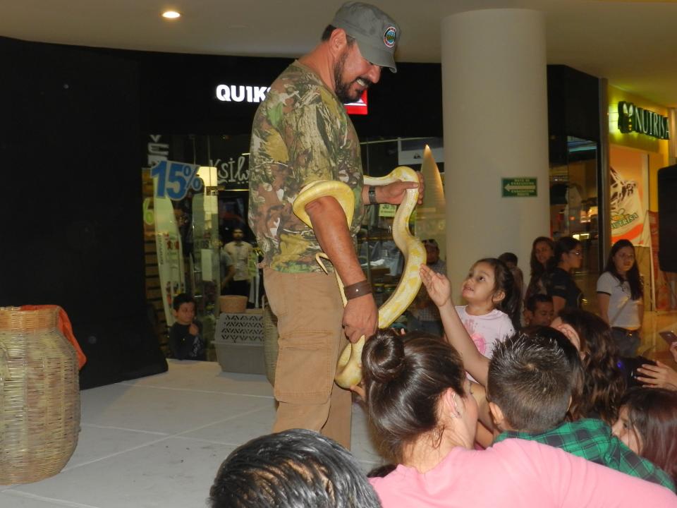 03Bahia (1) Presentan animales exóticos en Galerías