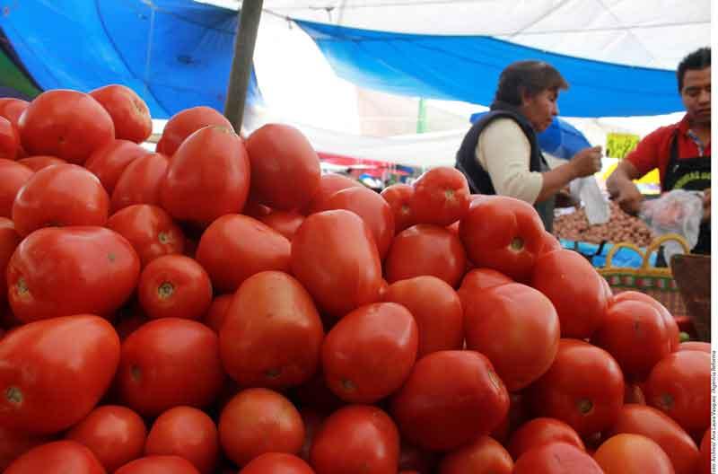 20y21Mxico02 Alcanza precio del jitomate $45 por kilogramo