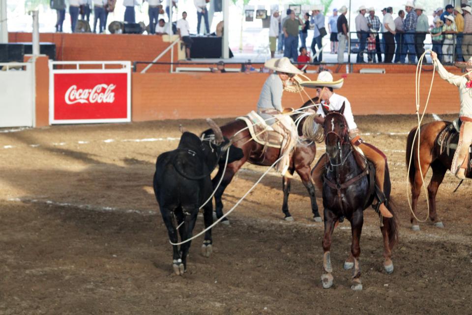 24y25Deportes (1) Hoy cortan la soga y dan inicio al Gran Premio Internacional Charro