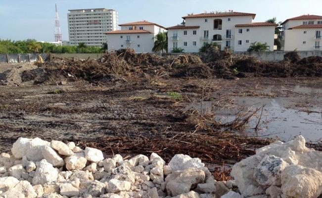 Malecón Tajamar Profepa descarta indicios para declarar ecocidio en Tajamar