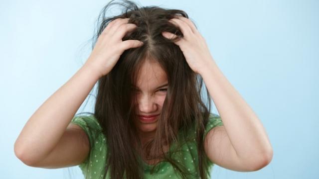 Piojos Exhorta Sector Salud a padres de familia tomar medidas preventivas para evitar brotes de pediculosis