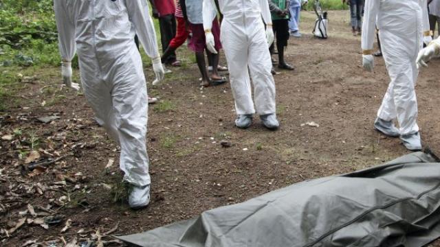 ebola El ébola reaparece en Sierra Leona, 24 horas después de que la OMS dio el brote por finalizado