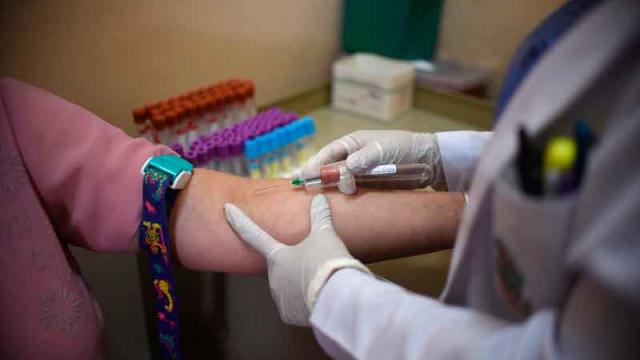 w03Bahia Fuera de riesgo PV por Zika pero refuerzan acciones preventivas: Región Sanitaria