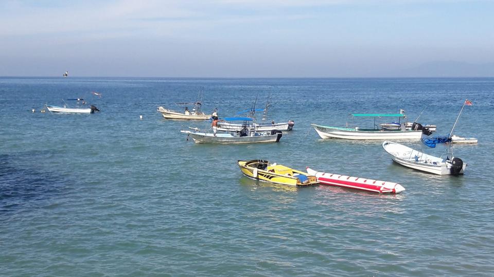 10y11Bahía (10) Abierto el puerto a la navegación