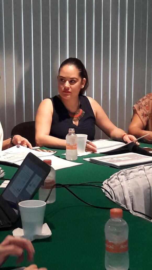 12y13falta No hay avances en temas pendientes del municipio
