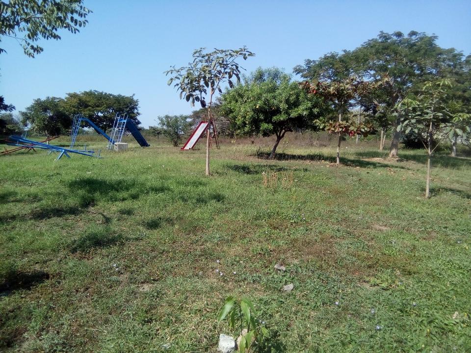 14y15Bahía (2) Pagarle con un predio a la UAN, es un acto irresponsable: Maylo