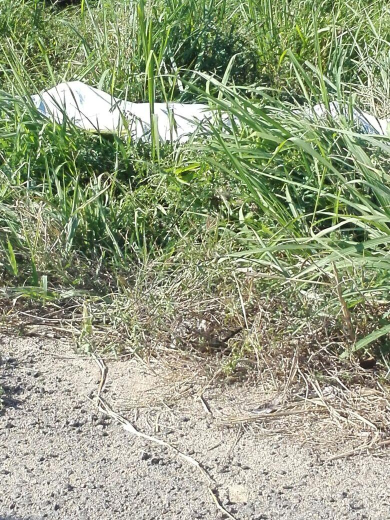 28y29Sucesos (2) En volcadura se mató vecino de Campo Acosta
