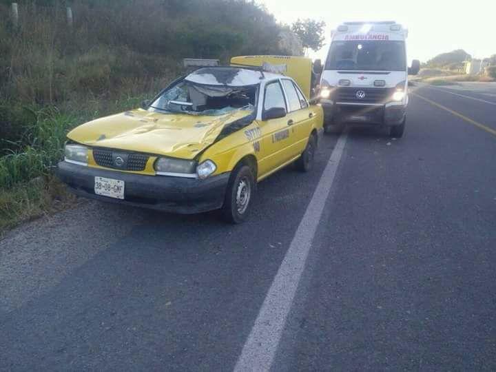 30y31Sucesos (13) Taxista choca con caballo, lo mata y el resulta herido