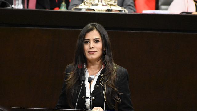 40341039522_571e1438c5_z El castigo a la corrupción no debe tener fecha de caducidad: Verónica Delgadillo.