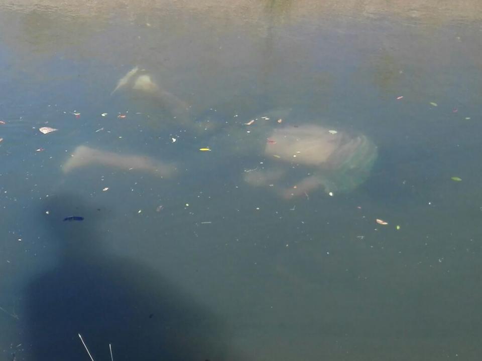 30y31Sucesos (4) Hallan cadáver en canal de riego