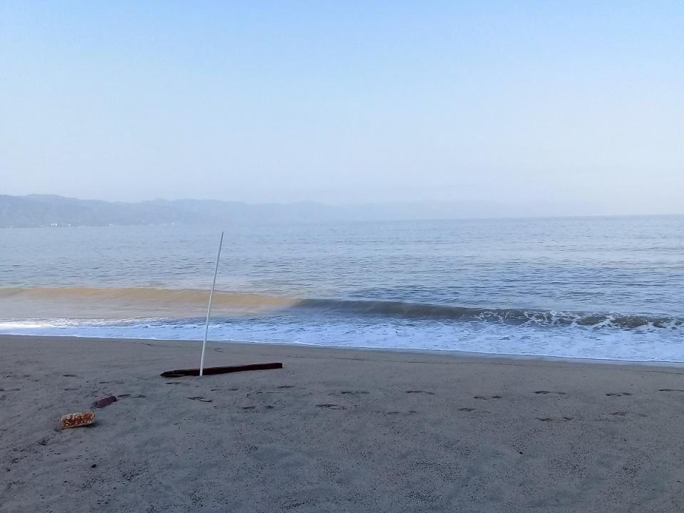 04y05Bahía (1) COMPORTAMIENTO POCO NORMAL DE LA NATURALEZA... Sin afectación por marea baja en Puerto Vallarta