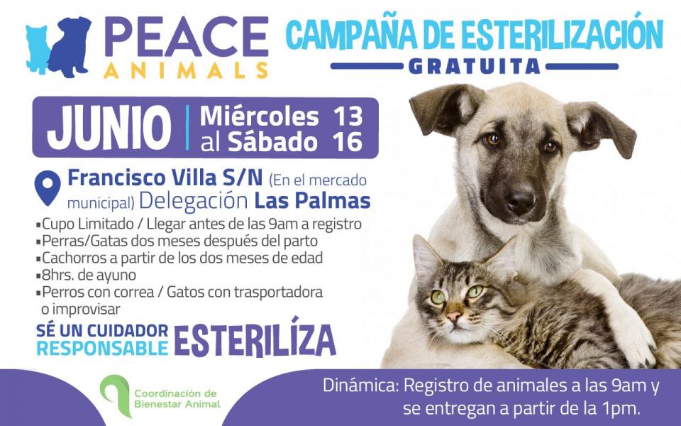 04y05Bahía (7) Invitan a la población para esterilizar a sus mascotas