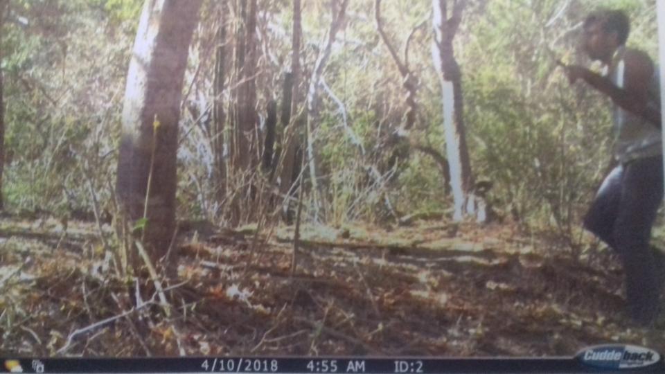 10y11Bahía (2) Avanza los trabajos de servicios ambientales en Bahía, pero aún hay cazadores fortuitos
