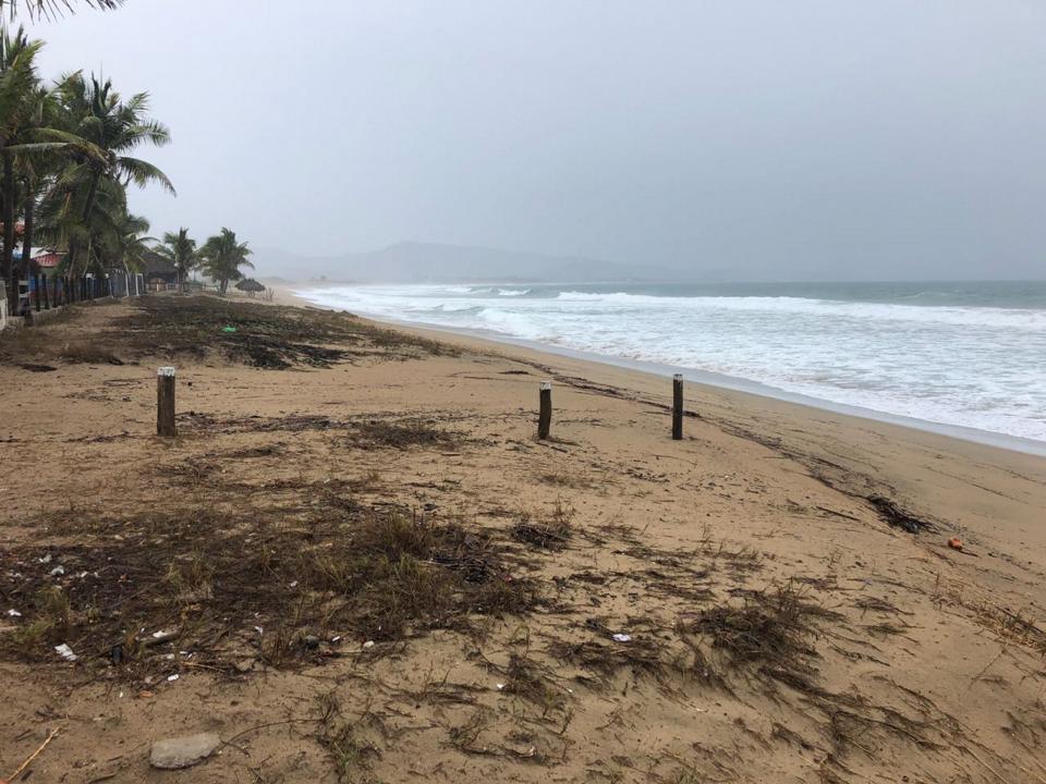 Reportan saldo blanco por paso de huracán Bud en Jalisco Bud se degrada a tormenta tropical; provocará lluvias en todo el país