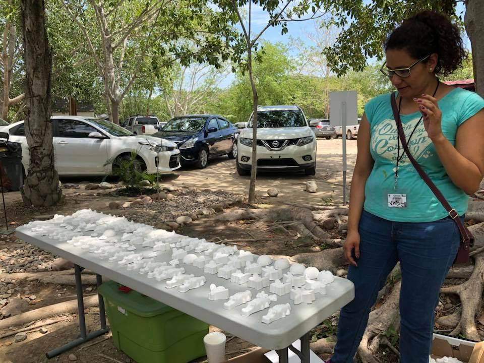 10y11Bahía (11) Estero el Salado, único manglar urbano protegido en México