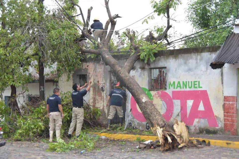 12y13Bahía (5) Preparan a niñas y niños como “Guardianes de la Tierra”