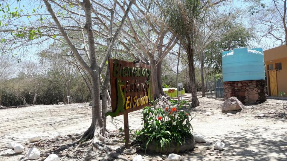 brenda 05 nota b Preocupante la cantidad de plásticos que llega al estero El Salado