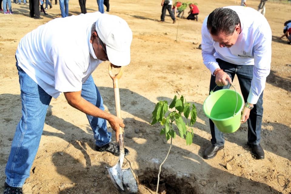 20y21Bahía (4) Sembrarán en Bahía más de 4 mil árboles