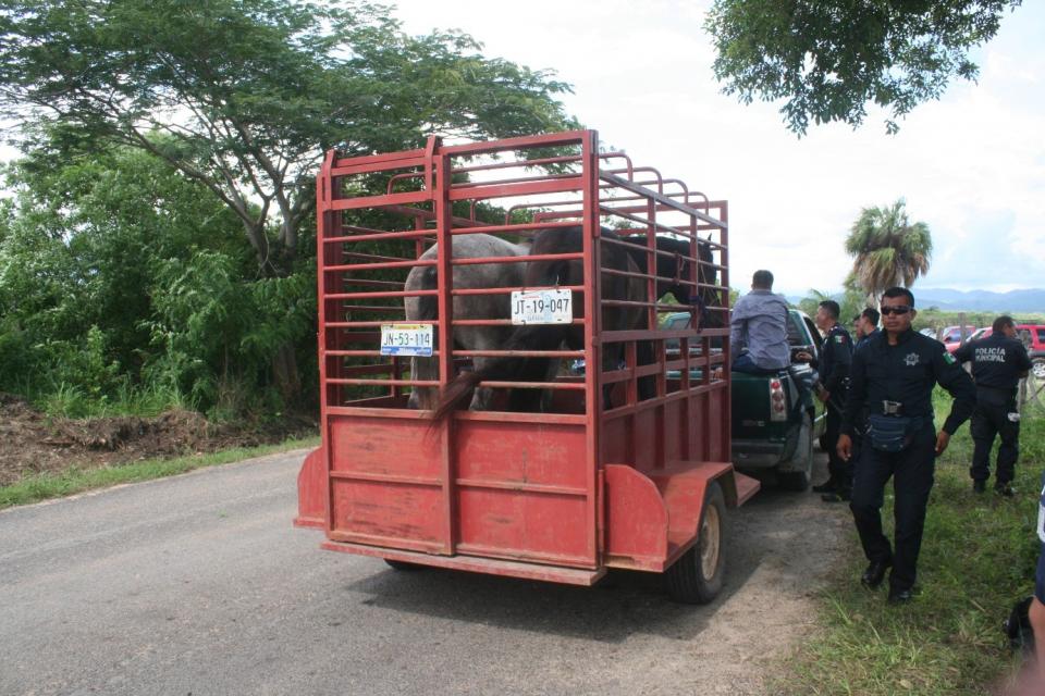 28y29Sucesos (3) Operativo con saldo favorable en la “Paseada” de El Colorado