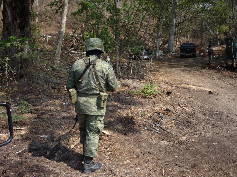 28y29Sucesos (8) Militares aseguran marihuana en Tomatlán