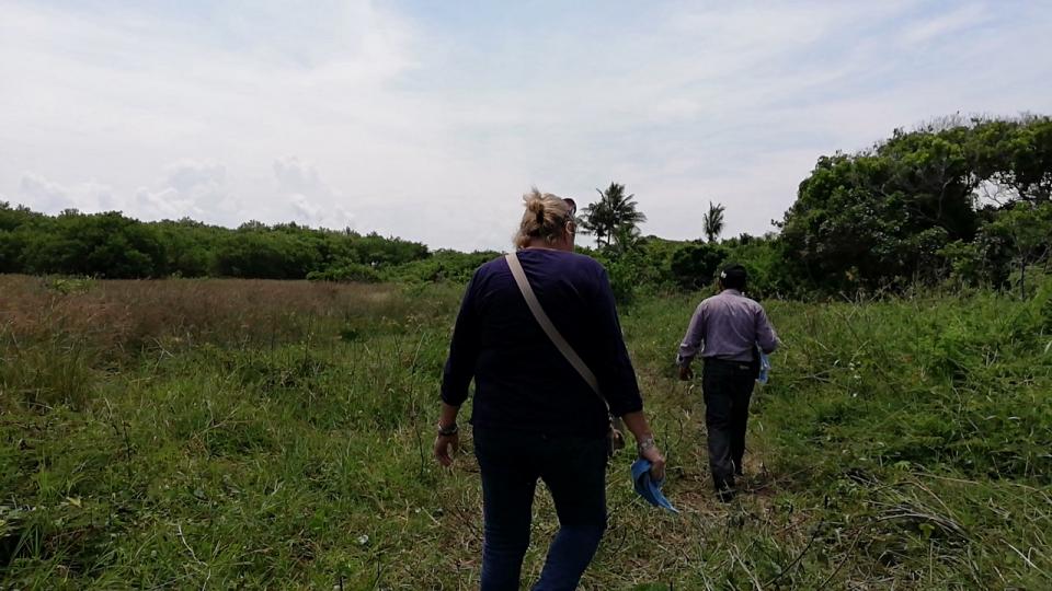btr FOSA EN ARBOLILLO, VERACRUZ… Entre el Paraíso y el infierno