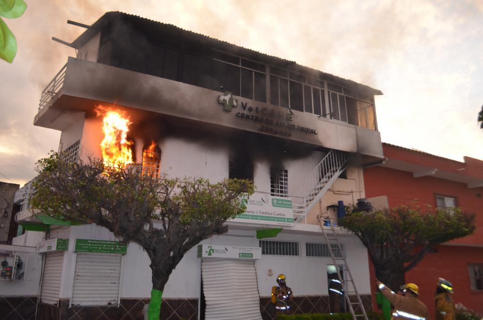 28y29Sucesos (1) Explosión en veterinaria, deja tres perros y un Tucán muertos