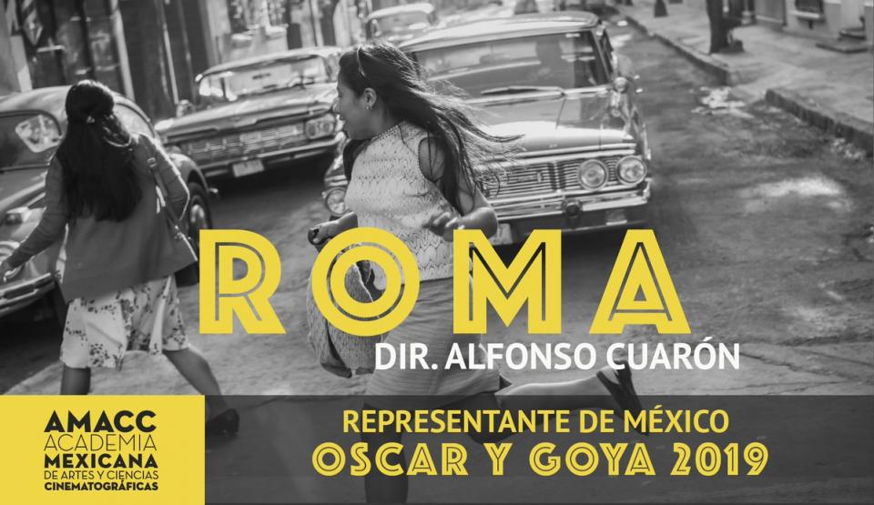 DnEmL-SXsAAZG8E Va Roma camino de Óscar y Goya