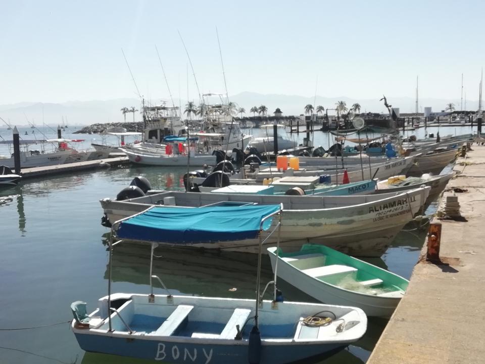 dav La Cruz de Huanacaxtle el mayor distribuidor de pescado en la región