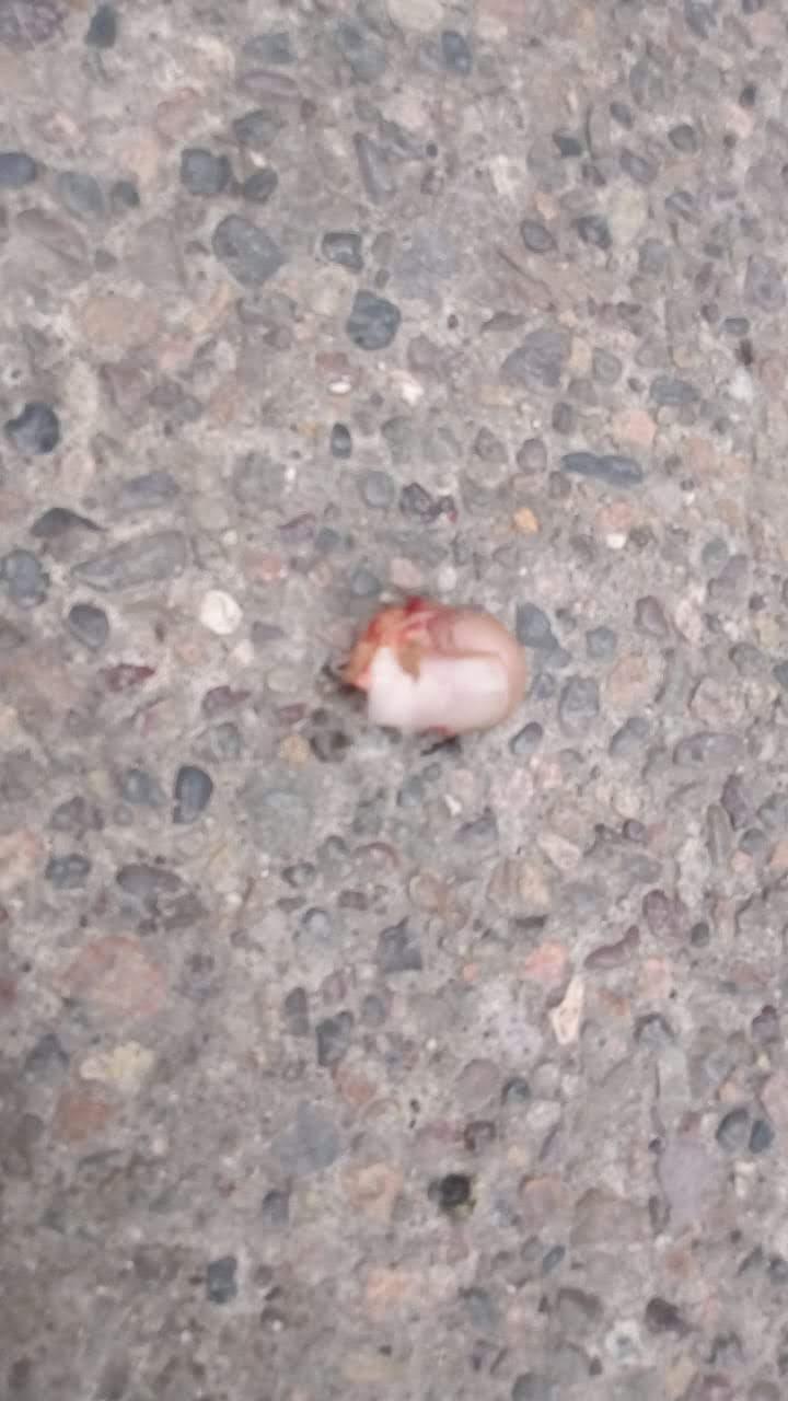 30y31sucesos (9) Le cortaron un dedo en riña