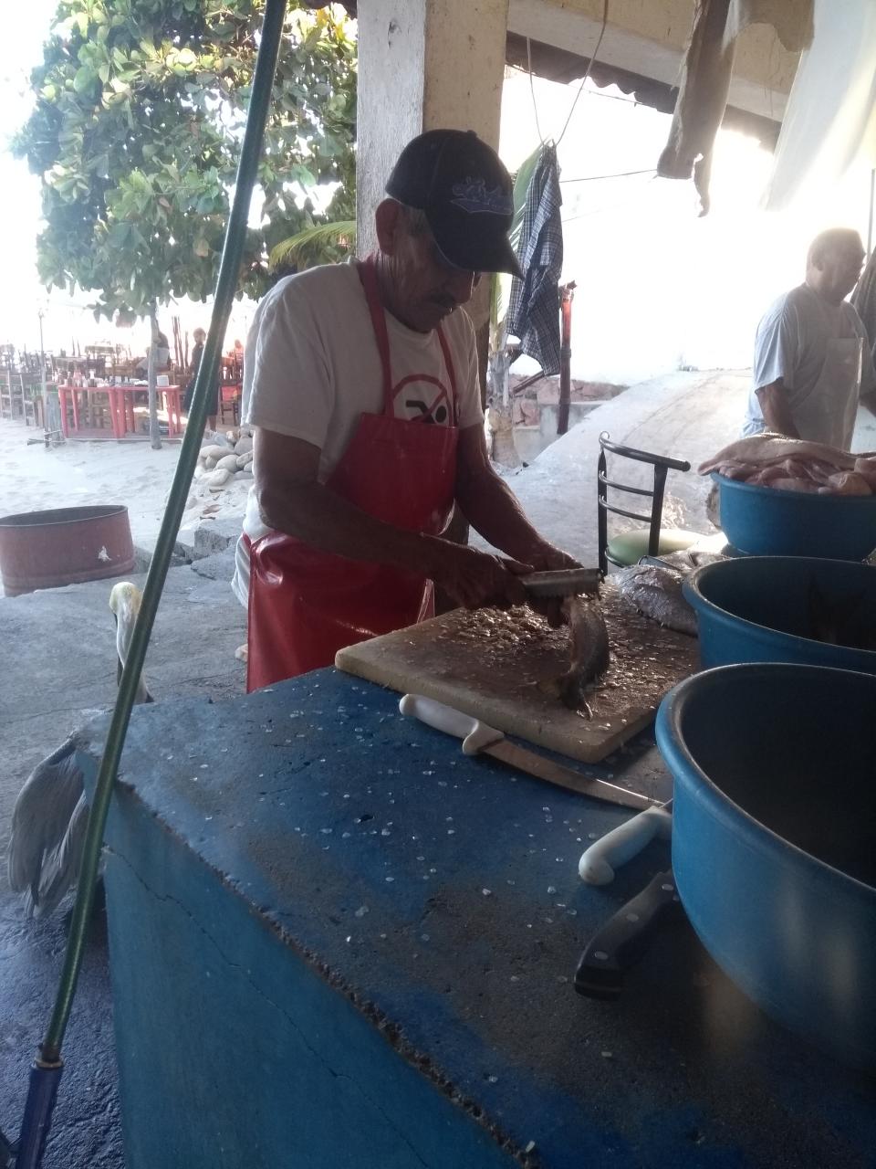08y09Bahías (8) Pescadores de la Cooperativa La Rosita 40 años trabajando en el malecón de Puerto Vallarta