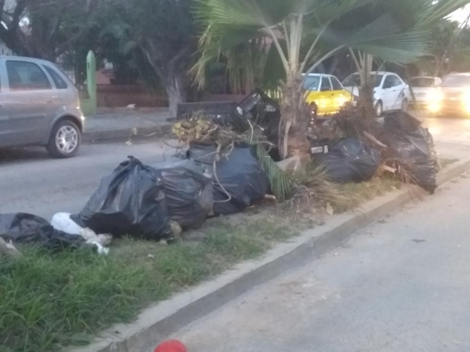10y11Bahía (9) Convierten el camellón de la González Gallo en basurero