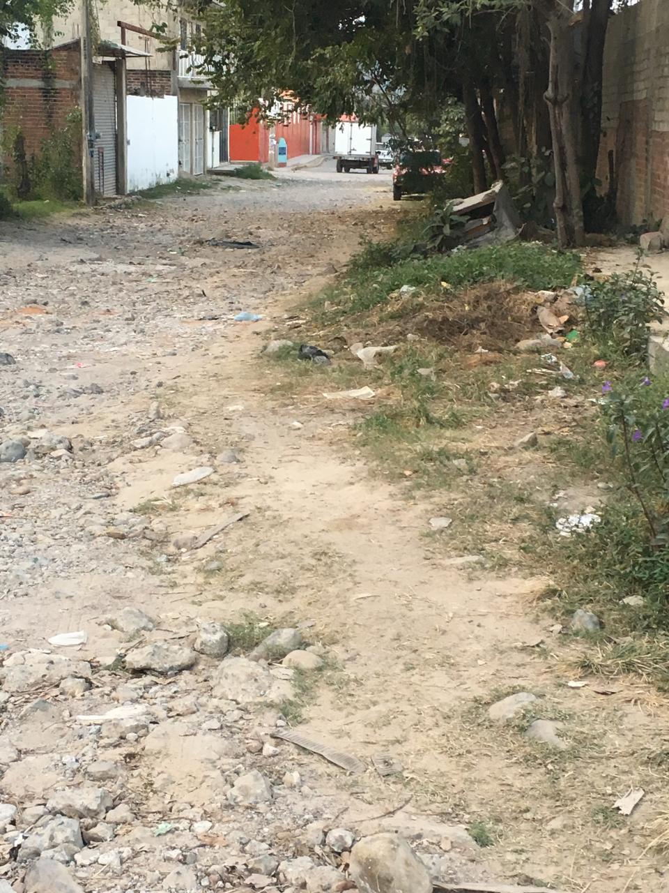 12y13Bahía (9) ¿Calle o lecho de rio?