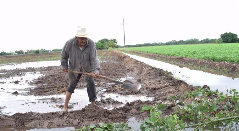 14y15Bahía (2) Buscará SADER levantar a Nayarit tras el paso del huracán Willa