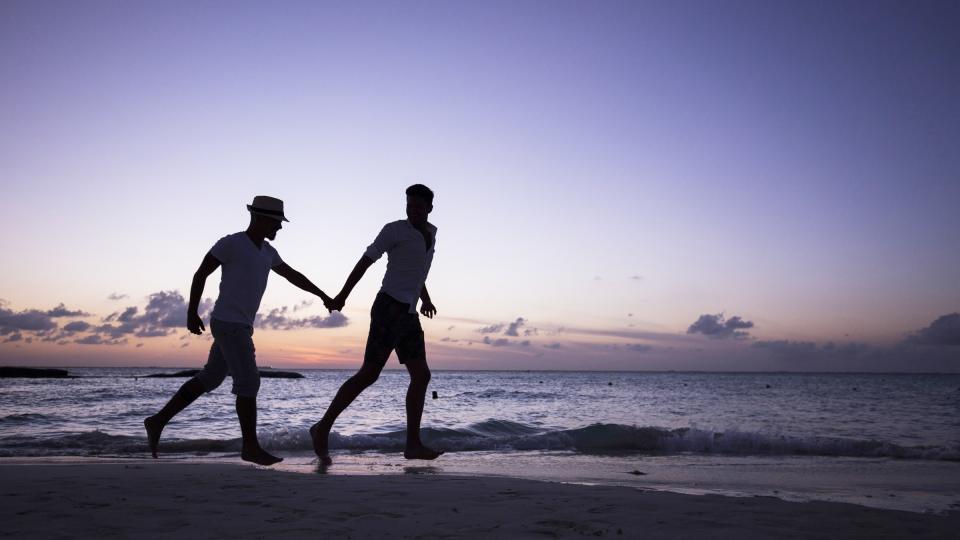 14y15Bahía (3) Vallarta, mejor destino de playa para la diversión: GayCities.com