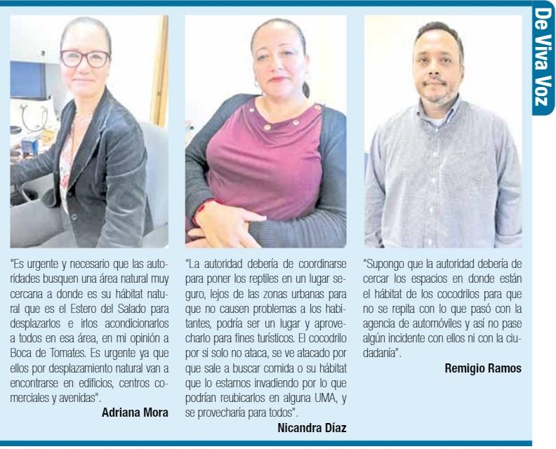 vozpopuli Autoridades deberían de reubicar a cocodrilos: sondeo