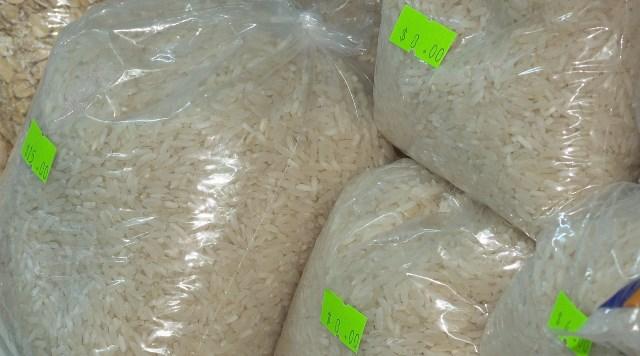 10y11Bahía (3) Habrá puntos para llevar árboles navideños: Franco