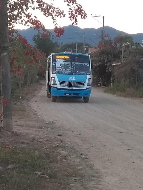 10y11Bahía (4) Regresa el transporte público a Los Llanitos