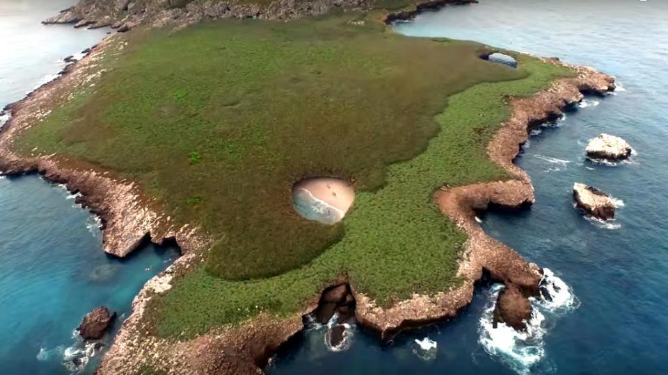 12y13Bahía (4) Piden respetar la flora y fauna marina