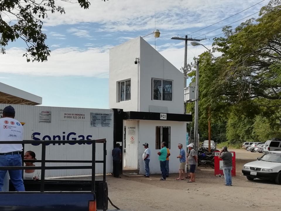 14y15Bahía (1) Muere ballena jorobada atrapa en chinchorro en Punta de Mita
