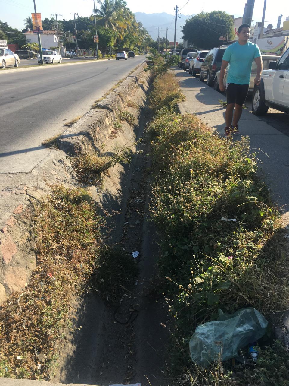 14y15Bahía (1) Criminal fuga de agua en Palmar de Aramara