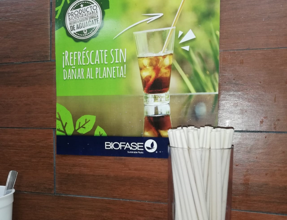 brenda 14 nota b Grandes marcas de PV optan por ya no usar plásticos