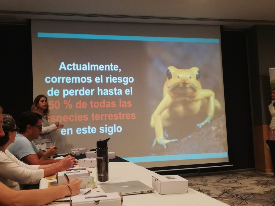 03Bahía Buscan evitar afectaciones al turismo por cambio climático