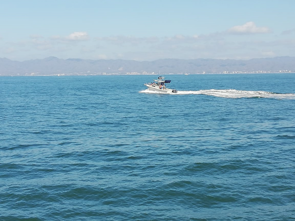 04y05Bahía (1) Irregularidades en el avistamiento de ballenas