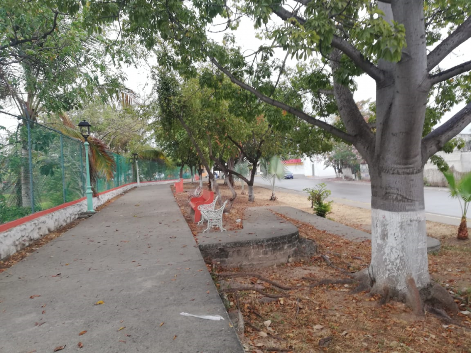 08y09Bahía (1) PIDEN VECINOS INTERVENCIÓN DEL AYUNTAMIENTO… En el abandono, la Laguna del Coapinole