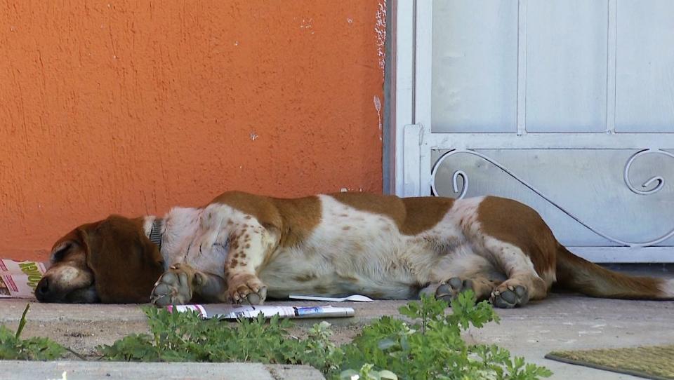 14y15Bahía (3) Aumentan problemáticas en Valle Dorado