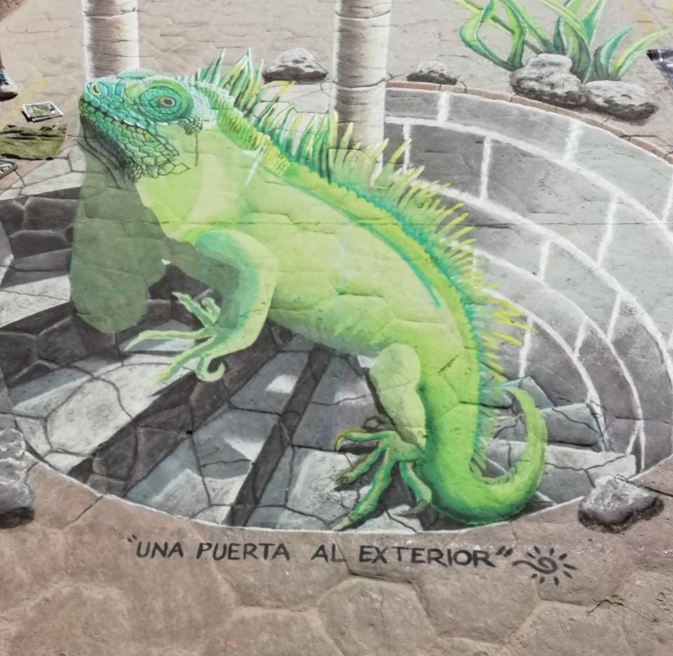 dav Bucerías se pinta de color con la exposición en Tiza “Puertas”