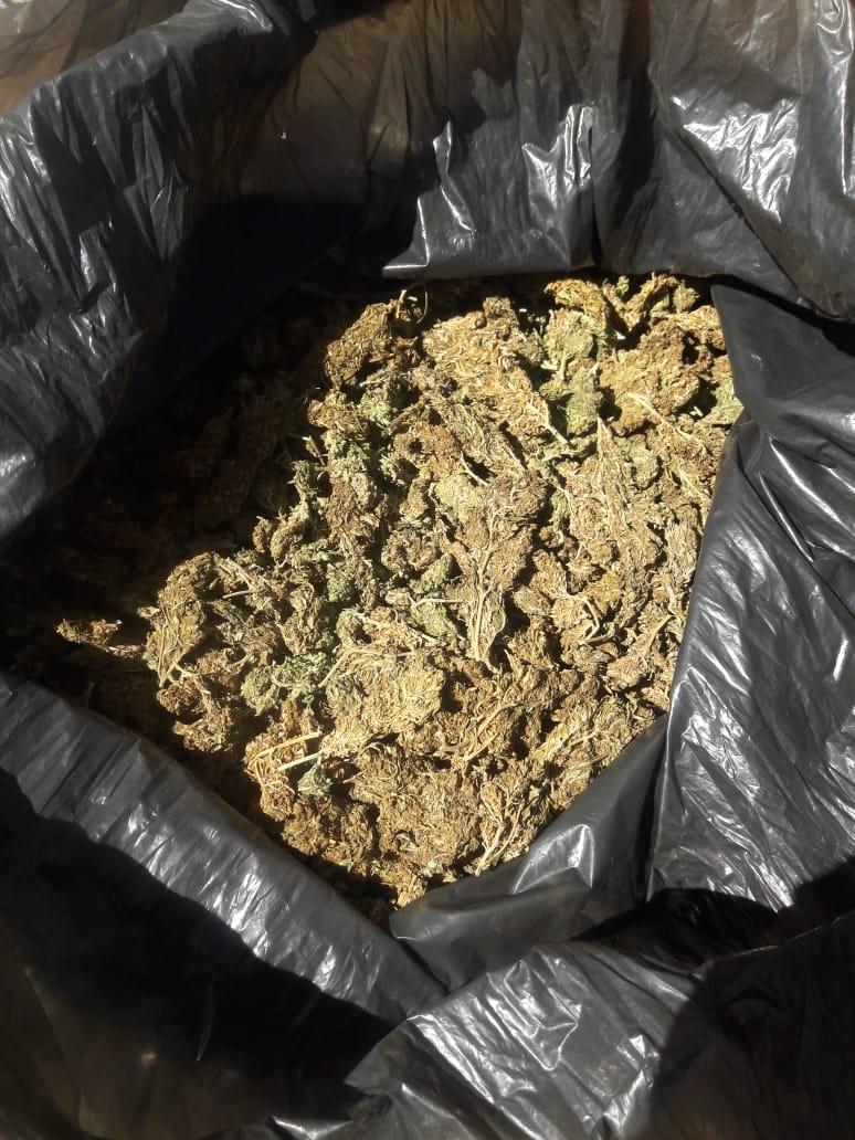 30y31Sucesos (6) Encuentran marihuana en parada de camión